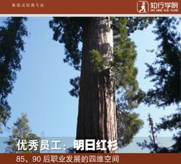 拓展主題課程-明日紅杉