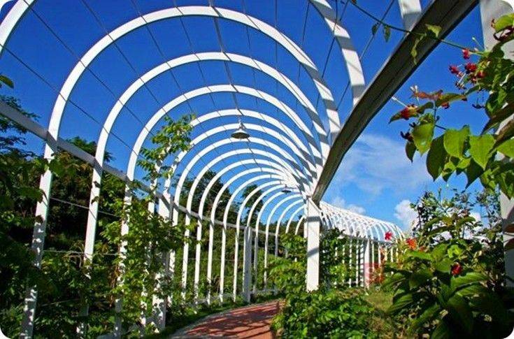 縐戞櫘鐢熸€佸啘涓氬洯鍩哄湴 (2).jpg 縐戞櫘鐢熸€佸啘涓氬洯鍩哄湴 (2).jpg