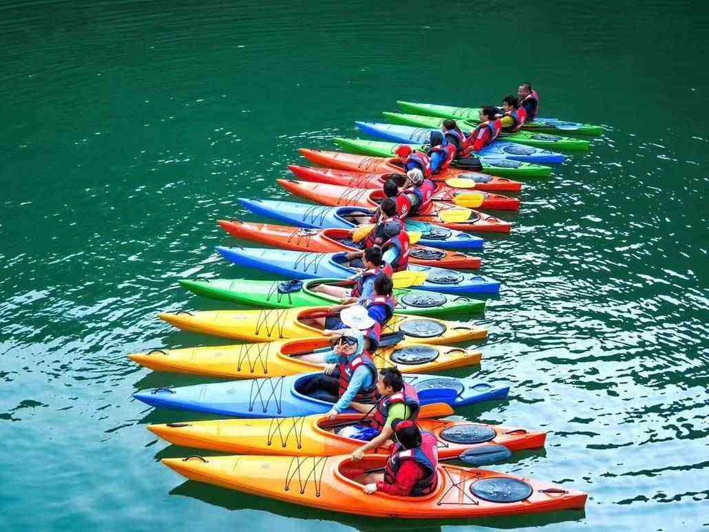 timg (1).jpg timg (1).jpg