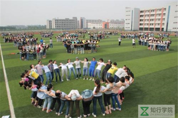 鎷撳睍媧誨姩 (7).jpg 鎷撳睍媧誨姩 (7).jpg