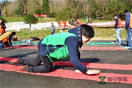 smt_tz114.jpg smt_tz114.jpg