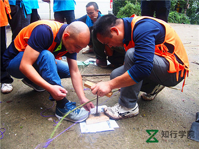 smt_tz506.jpg smt_tz506.jpg