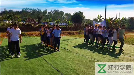 活動(dòng) (6)_副本.jpg