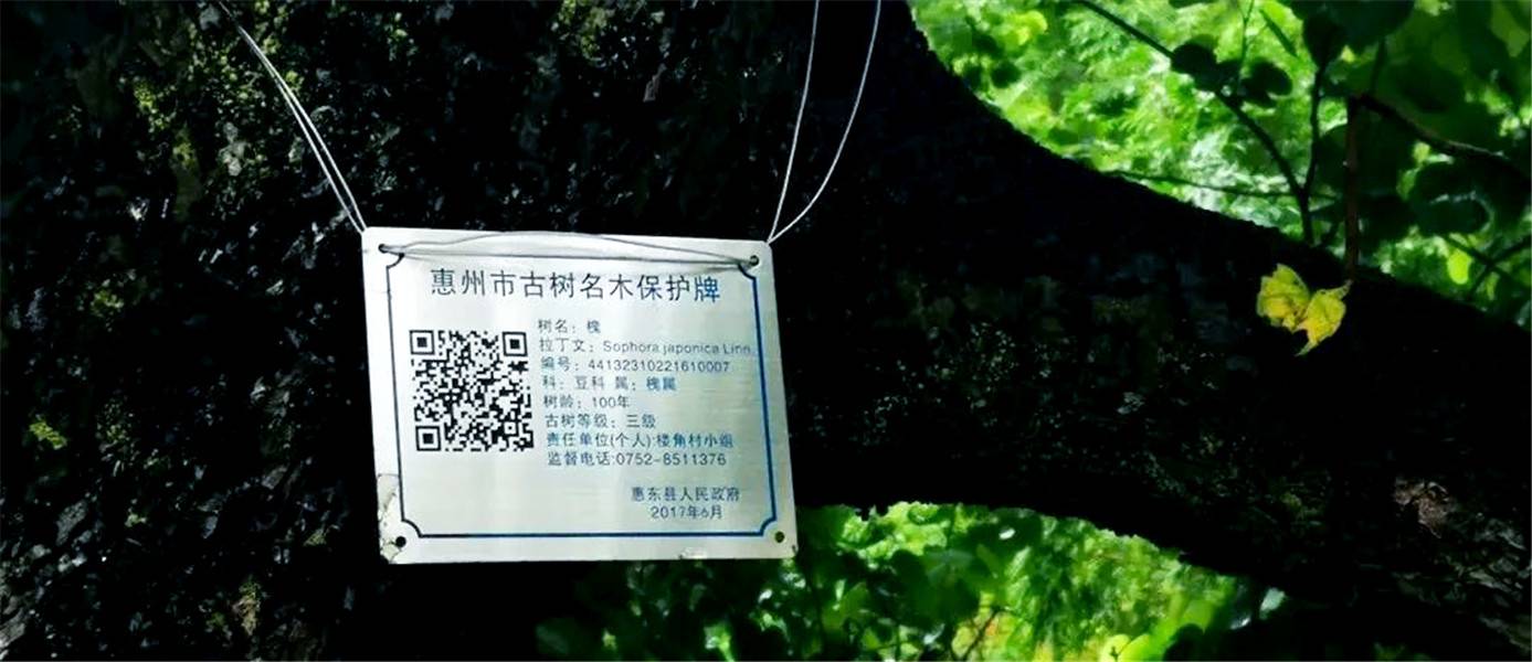 惠東白花蘇茅垅四角樓 3.jpg 惠東白花蘇茅垅四角樓 3.jpg