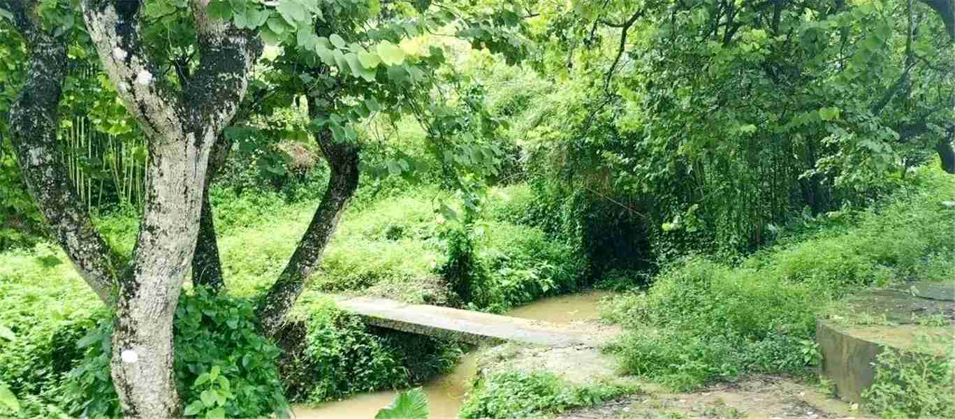 惠東白花蘇茅垅四角樓 5.jpg 惠東白花蘇茅垅四角樓 5.jpg