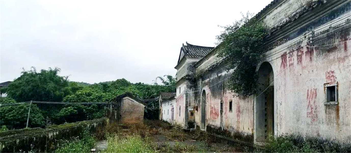 惠東白花蘇茅垅四角樓 7.jpg