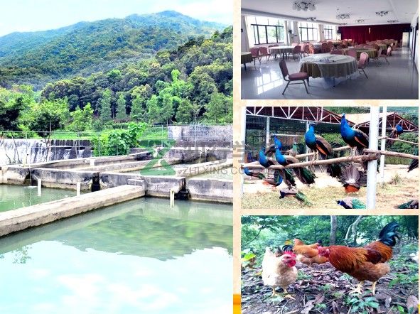 高潭基地特色餐飲介紹.jpg 高潭基地特色餐飲介紹.jpg