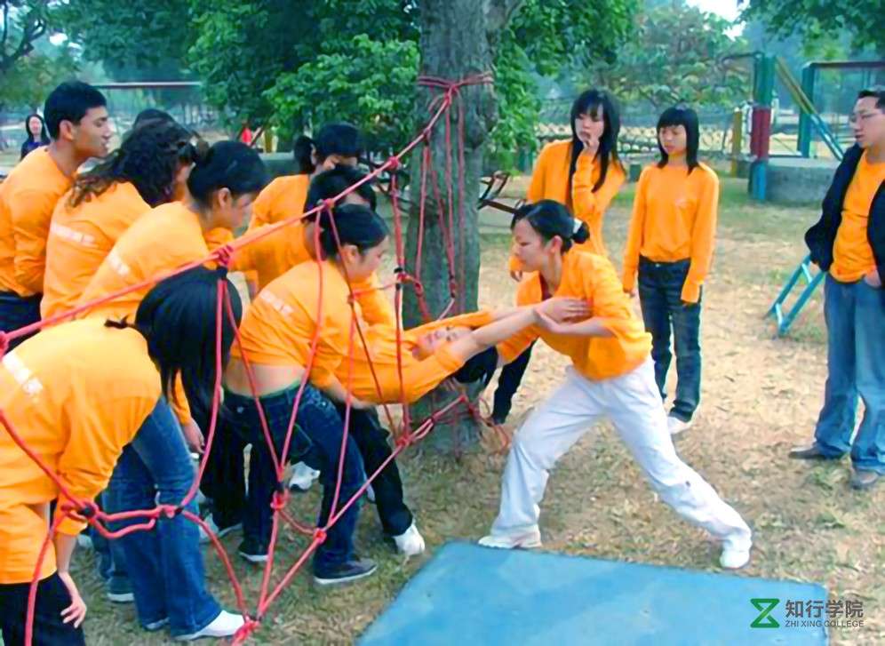 穿越電網(wǎng)1.jpg 穿越電網(wǎng)1.jpg