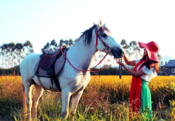 惠州拓展培訓(xùn)、惠州戶外團(tuán)建、惠州拓展訓(xùn)練、惠州拓展公司 (3).png