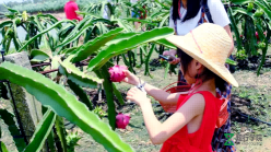 惠州拓展培訓(xùn)、惠州戶外團(tuán)建、惠州拓展訓(xùn)練、惠州拓展公司 (12).png