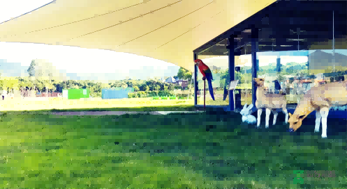 惠州拓展培訓(xùn)、惠州拓展基地、惠州團(tuán)建公司、惠州拓展訓(xùn)練 (4).png