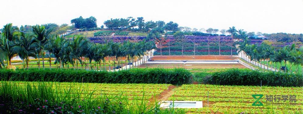 惠州永記生態(tài)園 (2).jpg