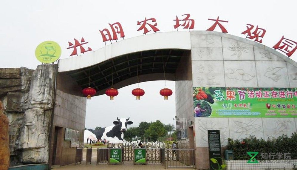 光明農場.jpg 光明農場.jpg