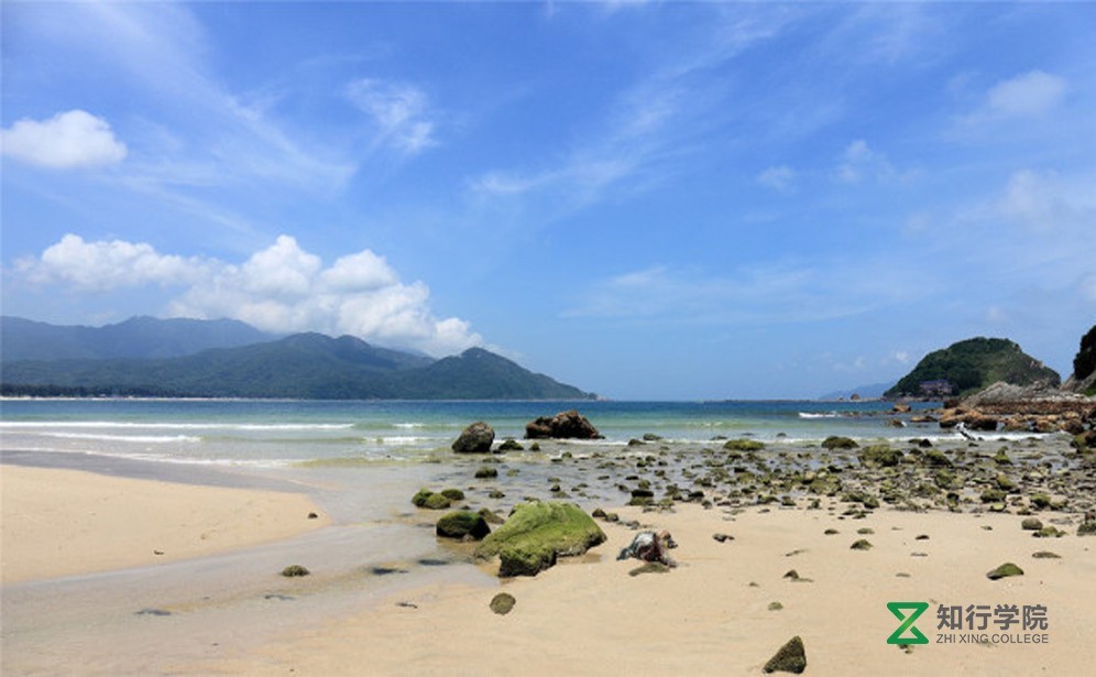 西涌沙灘拓展.jpg 西涌沙灘拓展.jpg