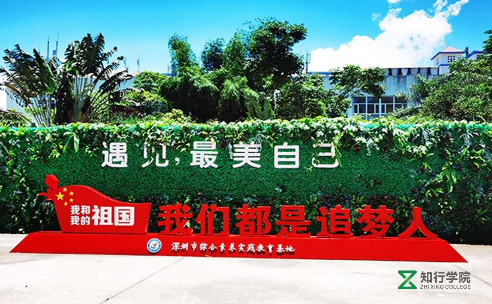 深圳綜合素質(zhì).jpg 深圳綜合素質(zhì).jpg