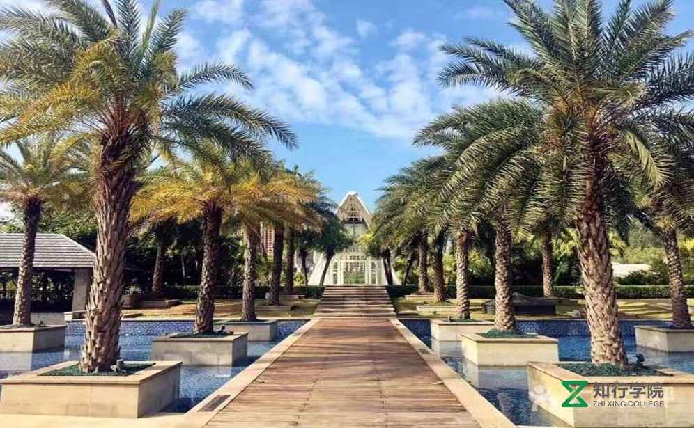 惠州團建 雅居樂白鷺湖 拓展訓(xùn)練.jpg 惠州團建 雅居樂白鷺湖 拓展訓(xùn)練.jpg