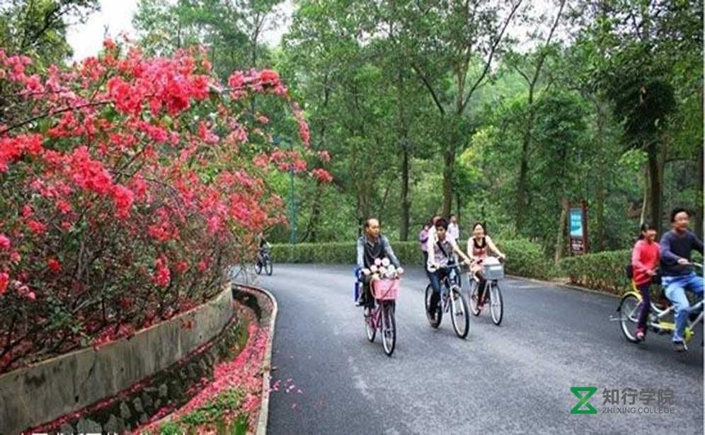 桃梅園.jpg 桃梅園.jpg