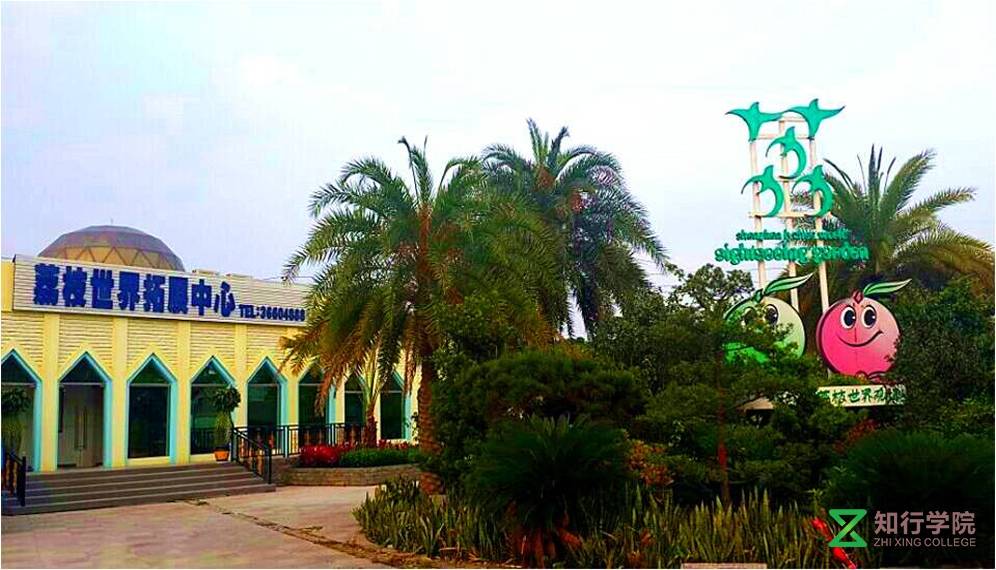 南山西麗荔枝世界拓展訓練基地