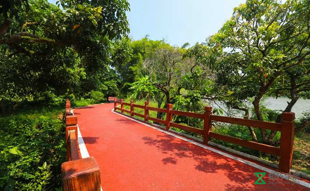 增城綠道拓展基地