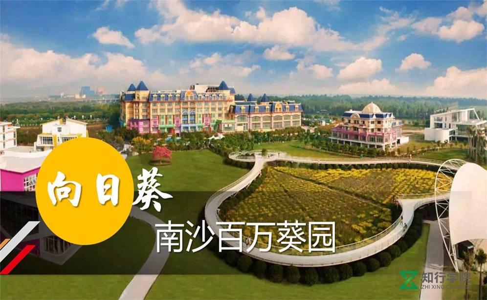 番禺南沙百萬(wàn)葵園拓展基地