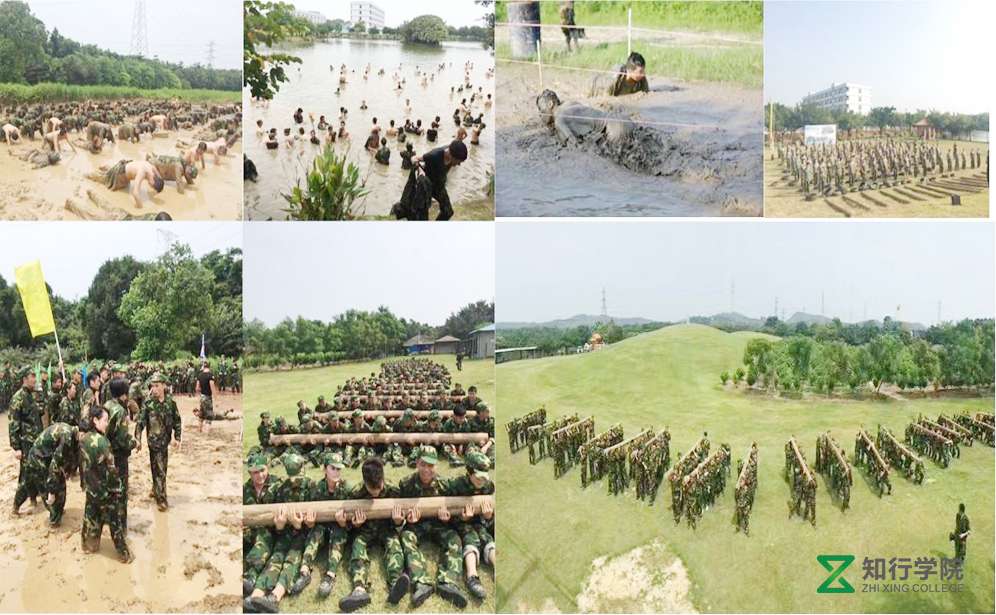 花都寶桑園拓展基地