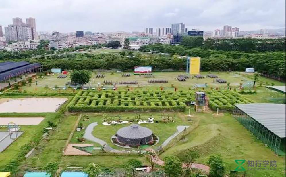 東莞東坑智慧田拓展訓練基地