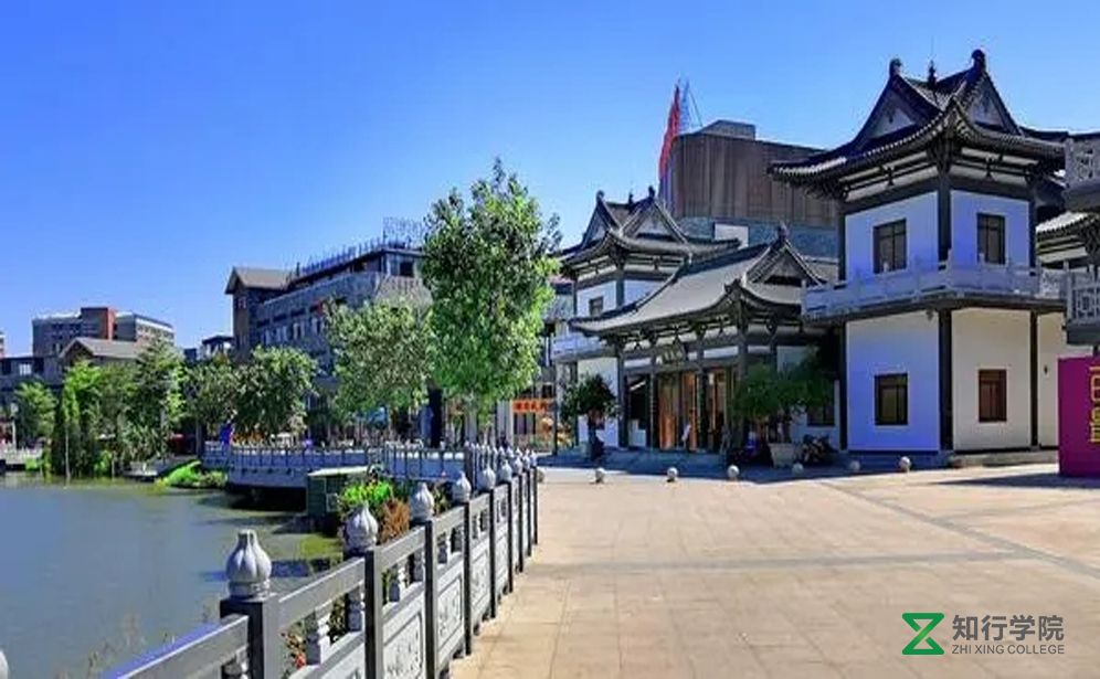 東莞麻涌華陽湖濕地公園團(tuán)建拓展基地