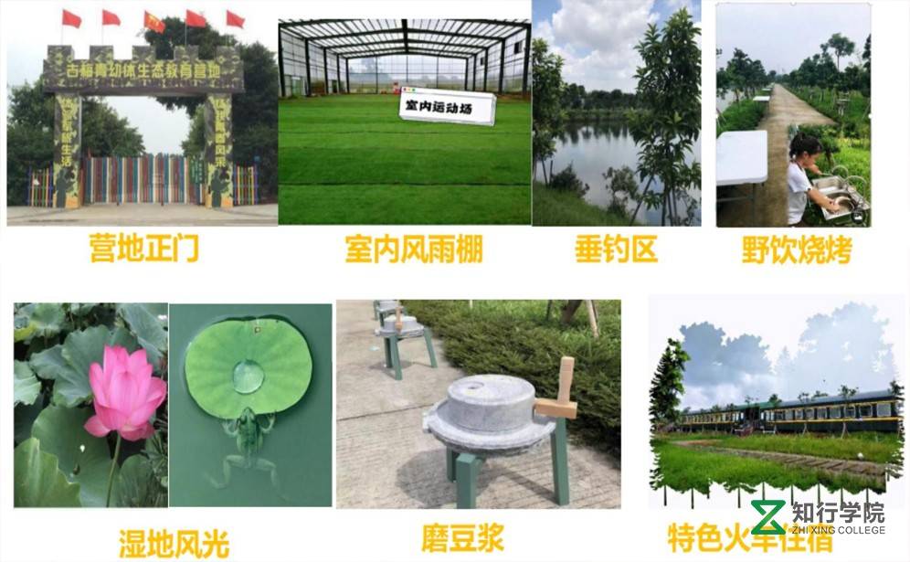 古梅青幼體.jpg 古梅青幼體.jpg