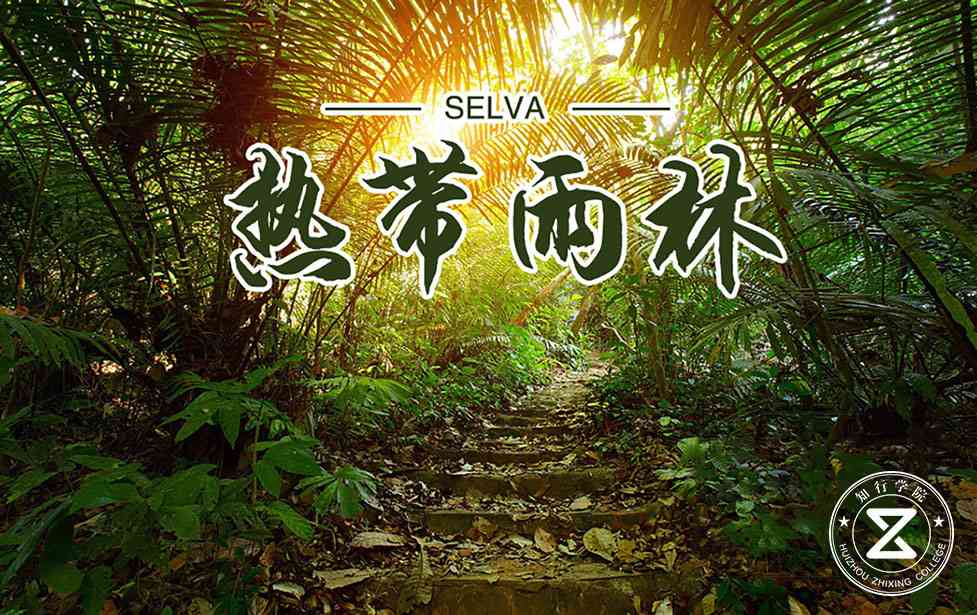 高端定制課程—穿越熱帶雨林