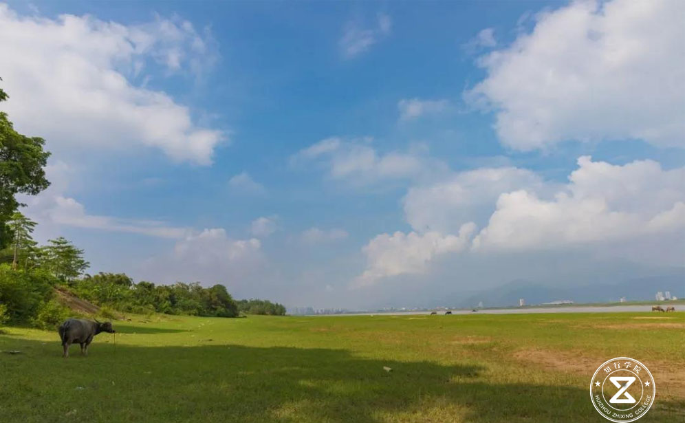 肇慶團(tuán)建、肇慶拓展、肇慶戶外拓展訓(xùn)練、肇慶團(tuán)建基地、肇慶硯洲島團(tuán)建基地、肇慶專業(yè)團(tuán)建公司、肇慶拓展訓(xùn)練公司 (6).jpg