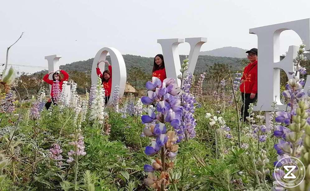 海陵島山海經(jīng)基地花海之門.jpg 海陵島山海經(jīng)基地花海之門.jpg