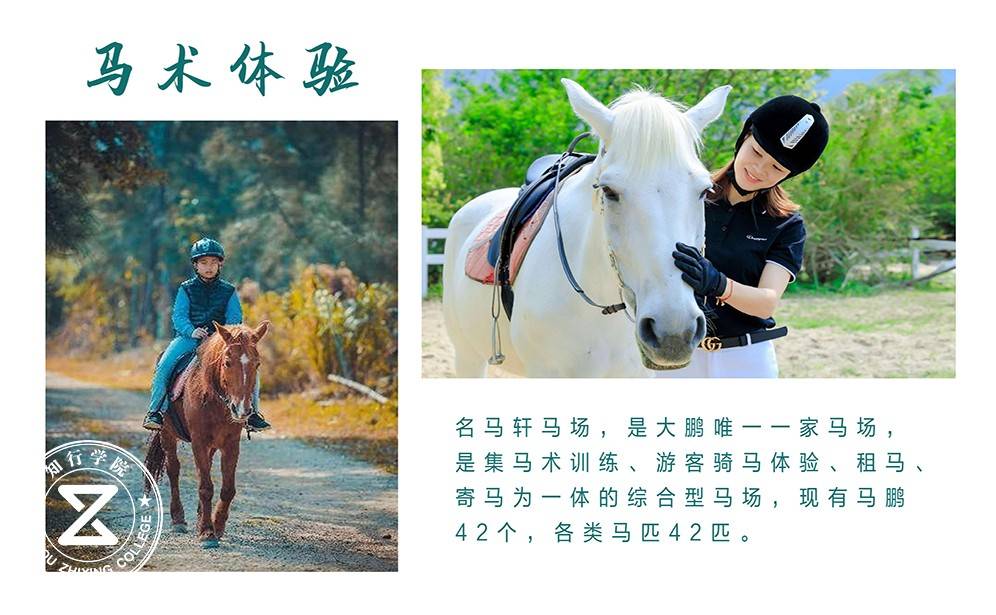 馬術(shù)體驗(yàn).jpg