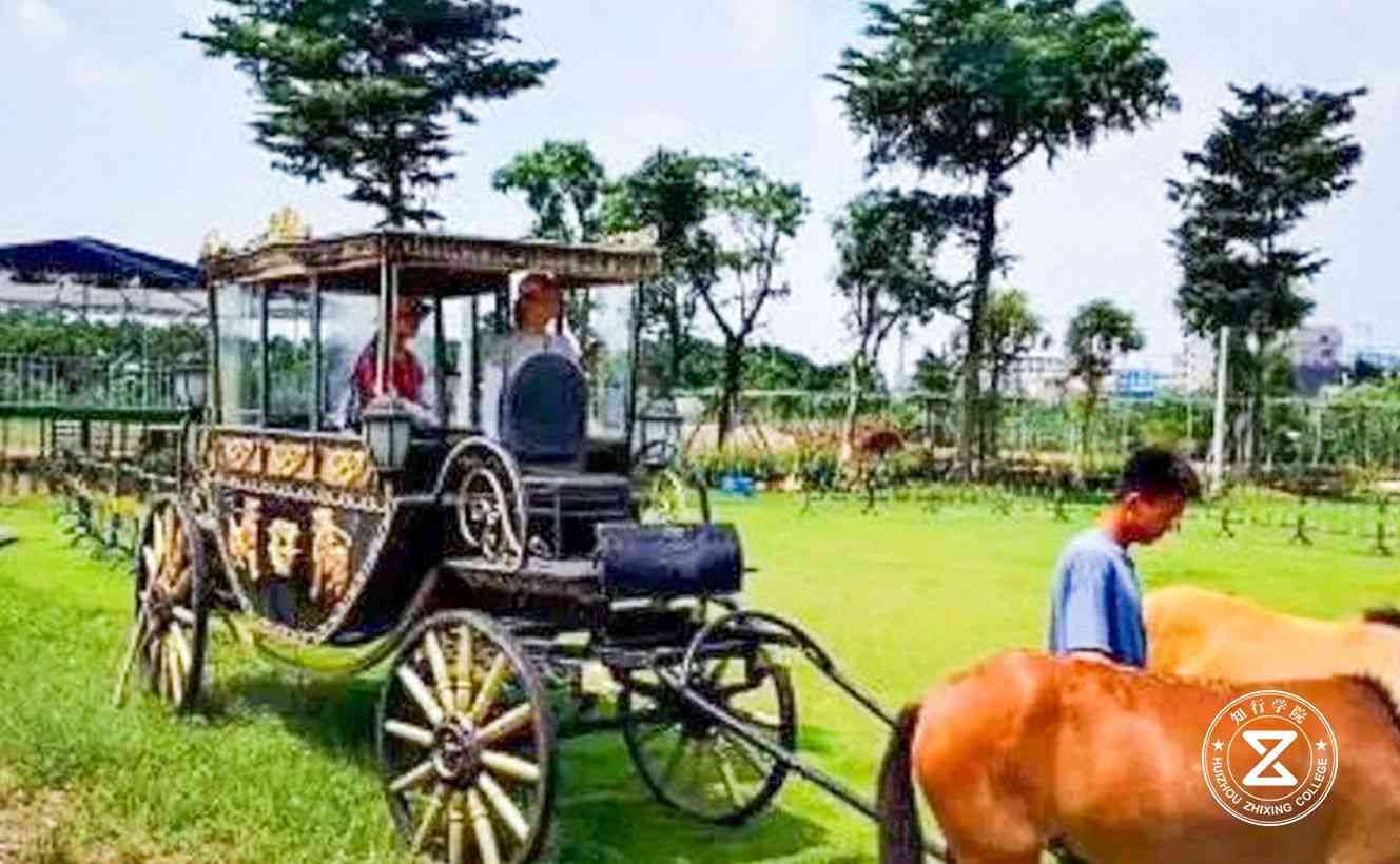 東莞虎門(mén)威遠(yuǎn)島拓展訓(xùn)練基地5.jpg 東莞虎門(mén)威遠(yuǎn)島拓展訓(xùn)練基地5.jpg