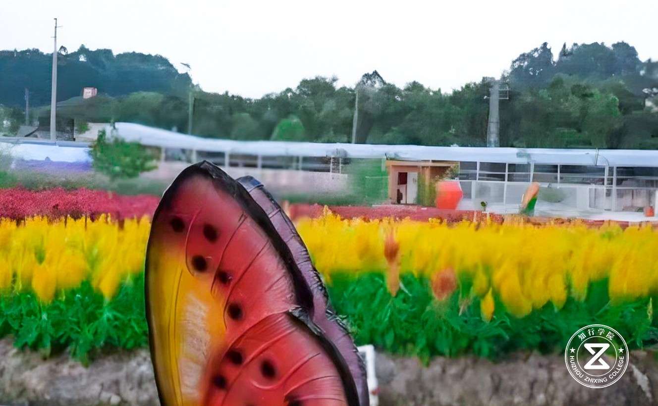 佛山市南海區(qū)國防教育訓(xùn)練基地7.jpg 佛山市南海區(qū)國防教育訓(xùn)練基地7.jpg