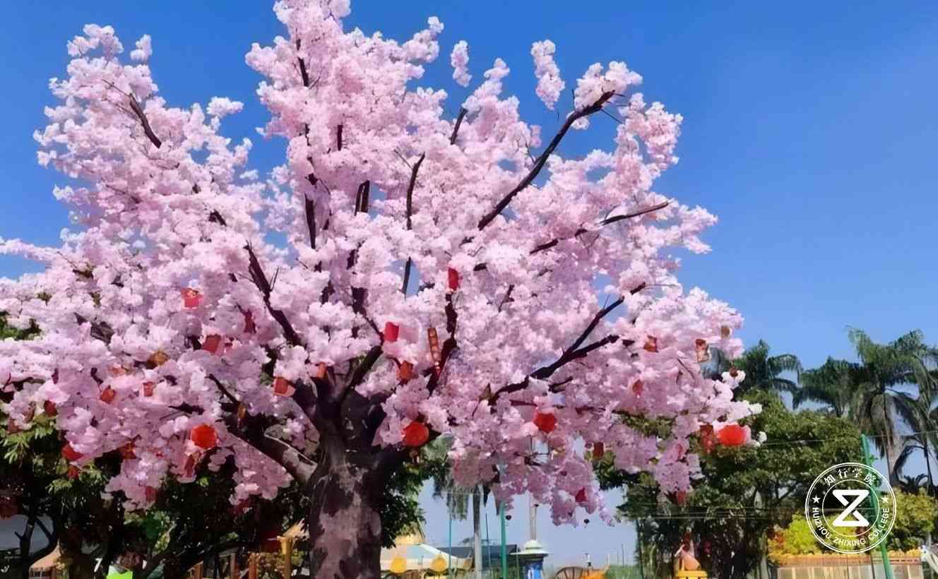 廣州南沙馬克生態(tài)園拓展訓練基地10.jpg 廣州南沙馬克生態(tài)園拓展訓練基地10.jpg