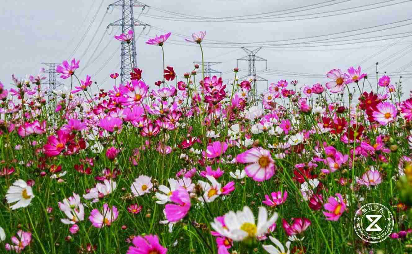 廣州南沙馬克生態(tài)園拓展訓練基地6.jpg 廣州南沙馬克生態(tài)園拓展訓練基地6.jpg