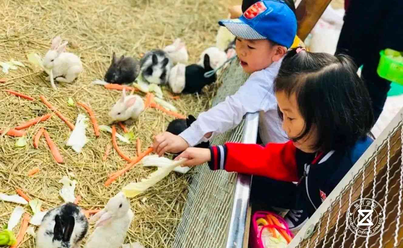 廣州南沙馬克生態(tài)園拓展訓練基地17.jpg 廣州南沙馬克生態(tài)園拓展訓練基地17.jpg