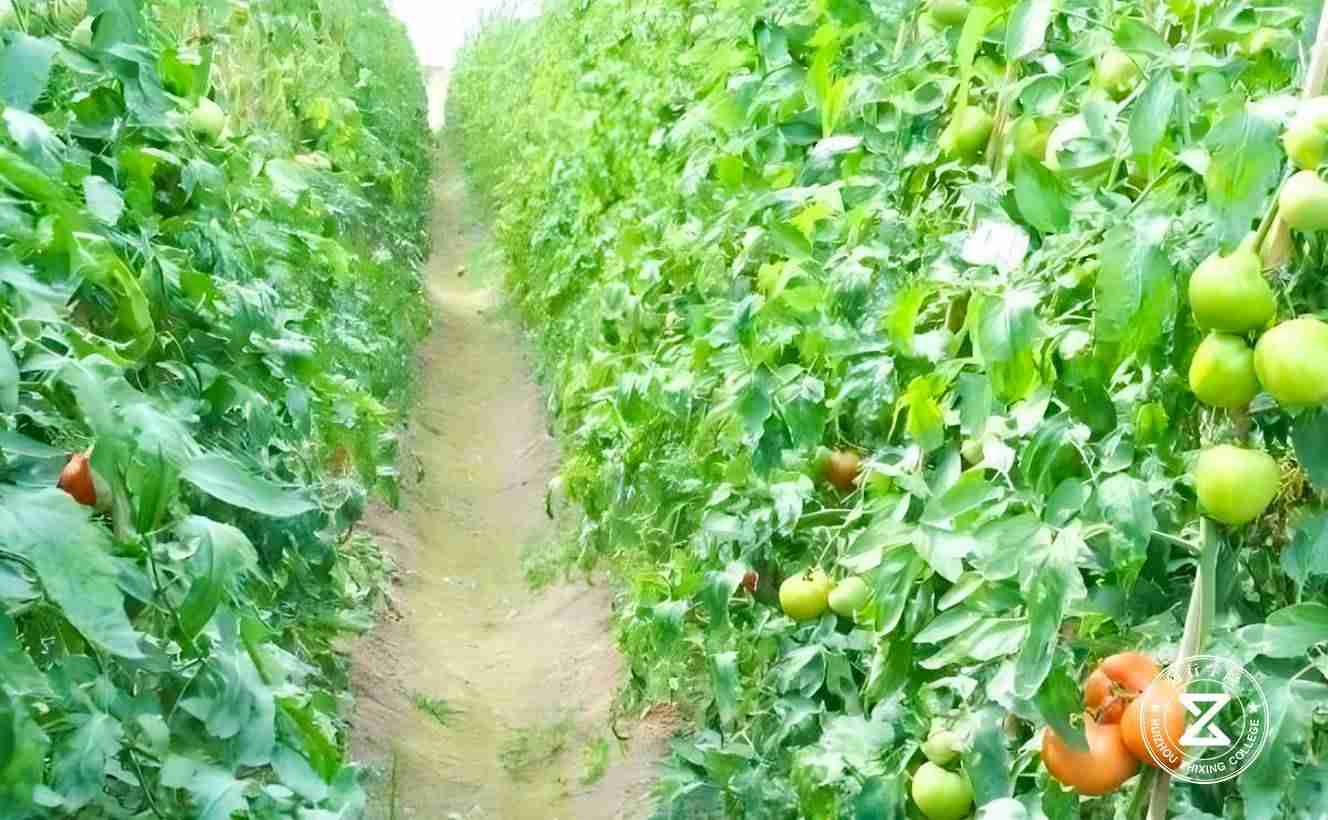 廣州南沙馬克生態(tài)園拓展訓練基地19.jpg 廣州南沙馬克生態(tài)園拓展訓練基地19.jpg