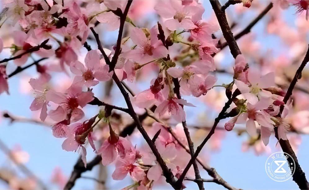 廣州黃埔區(qū)谷豐園拓展訓(xùn)練基16.jpg 廣州黃埔區(qū)谷豐園拓展訓(xùn)練基16.jpg