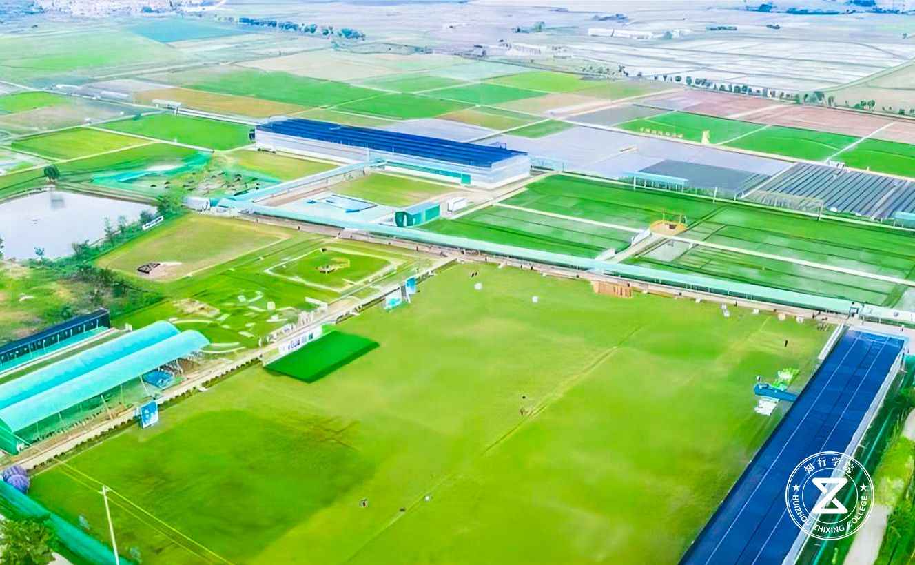 惠州蜘蛛俠青少年綜合實踐營地