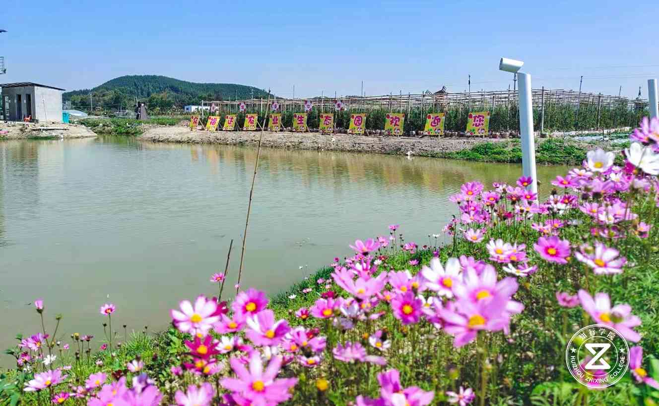 佛山眾福達農(nóng)業(yè)生態(tài)園拓展訓練基地